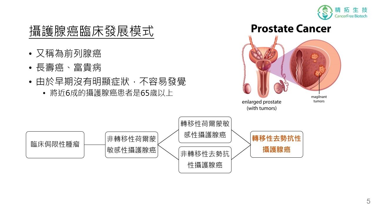 攝護腺癌 治療簡介 投影片 第 5 頁